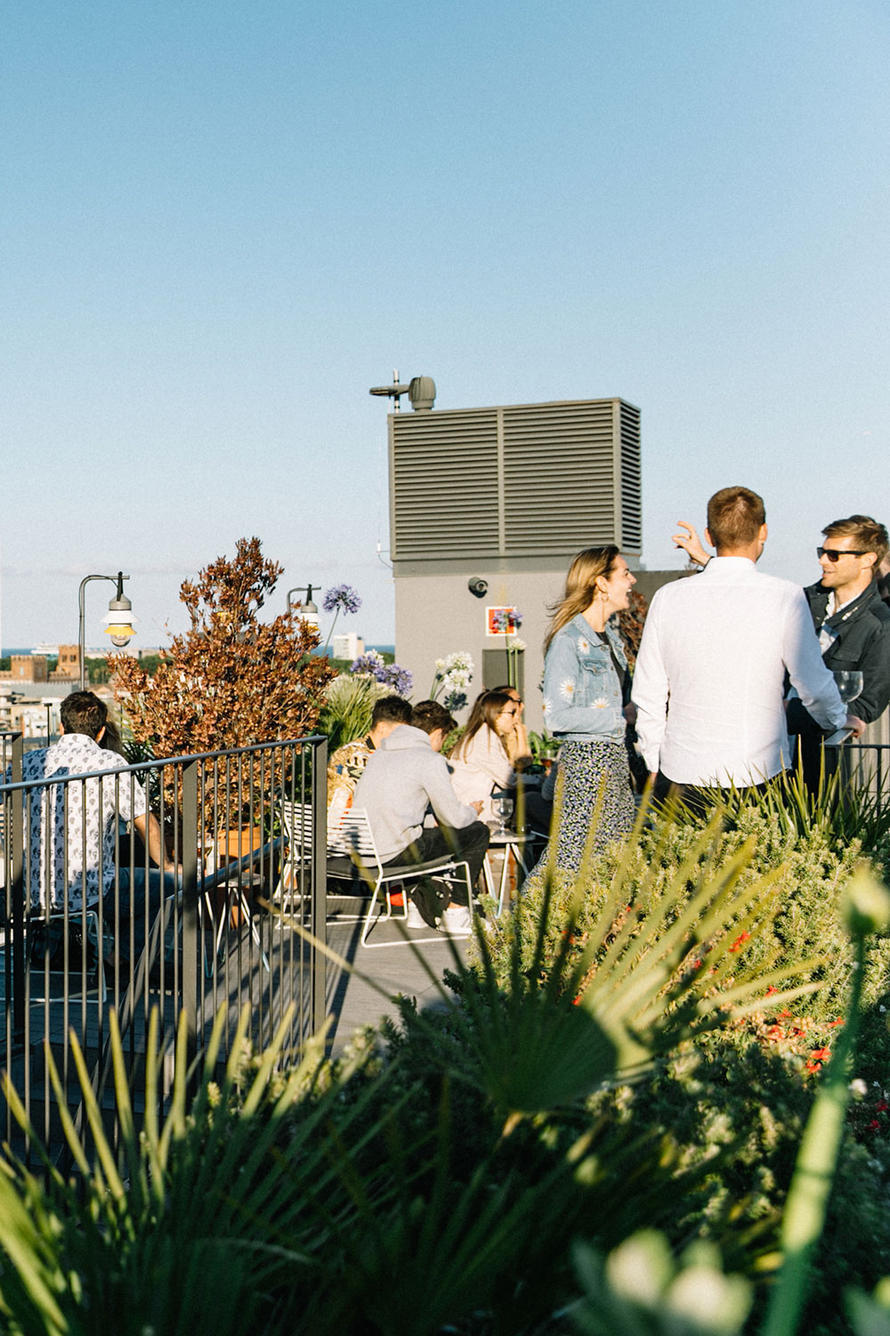 Rooftop 